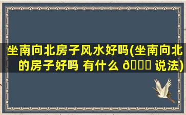 坐南向北房子风水好吗(坐南向北的房子好吗 有什么 💐 说法)